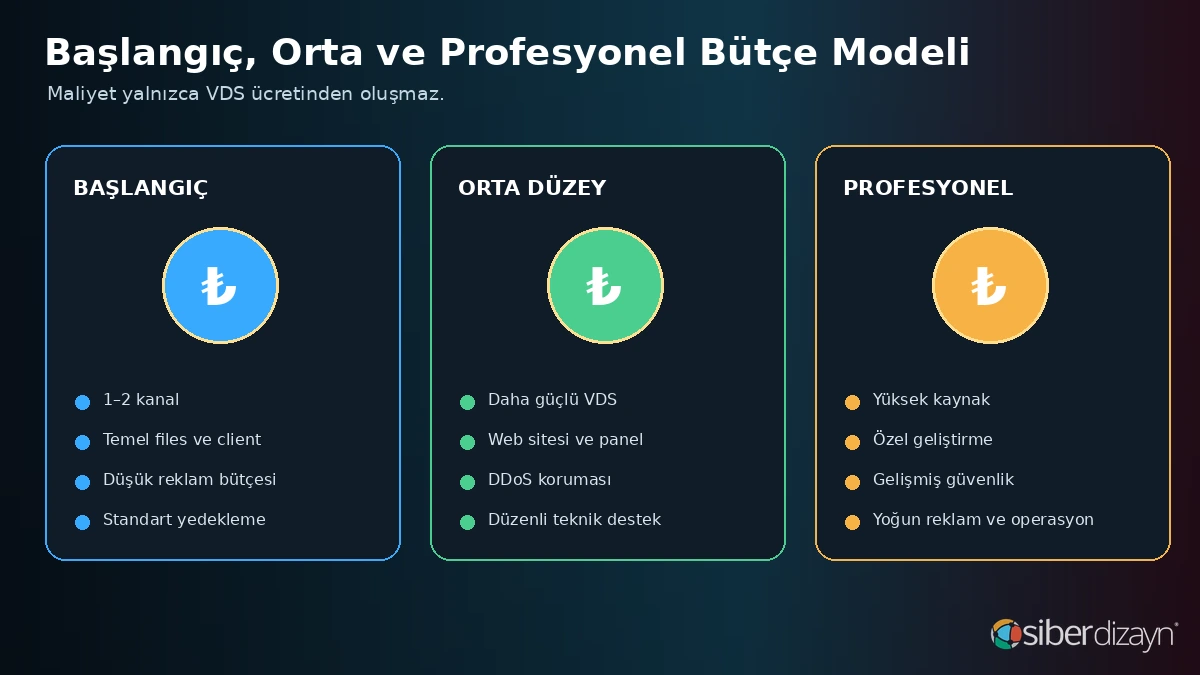 Metin2 başlangıç orta düzey ve profesyonel sunucu bütçe karşılaştırması